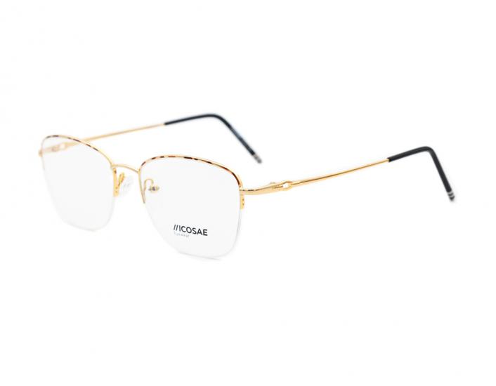 ICOSAE 301 C16 52-18