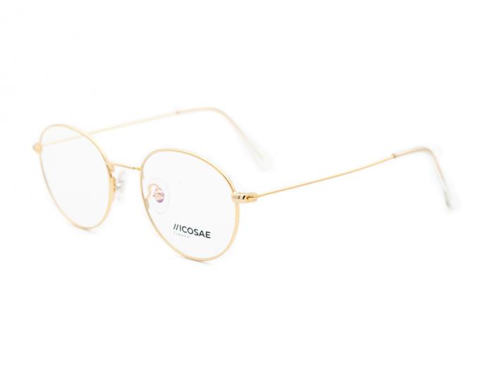 ICOSAE 303 C2 45-19